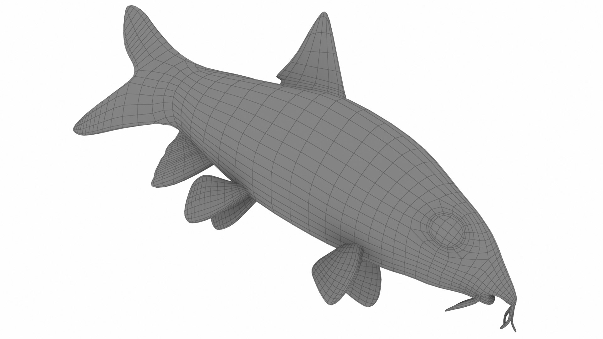 3D Underwater Animals Big Collection 34 in 1 model https://p.turbosquid.com/ts-thumb/nA/aKY9xt/1d/clownloach32/jpg/1744456199/1920x1080/fit_q87/a1d9e4a830054752fa1ae0b0c6fc2f2cd295a887/clownloach32.jpg
