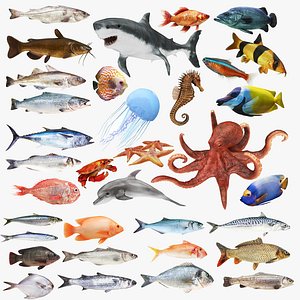 3D Underwater Animals Big Collection 34 in 1 model