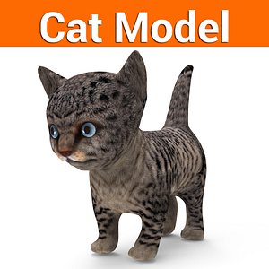 cute cat model