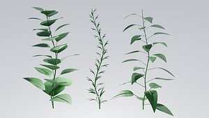 3D Plants