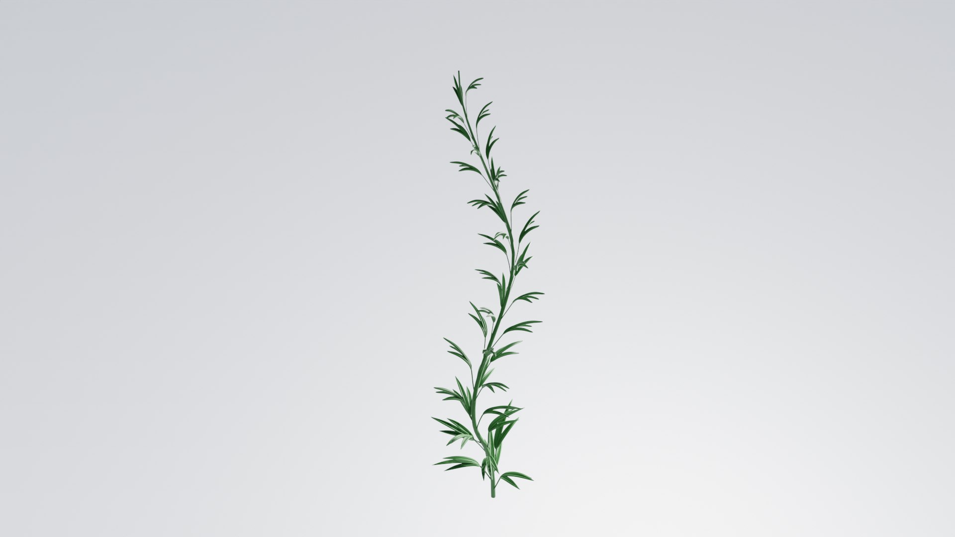 3D Plants - TurboSquid 2253364