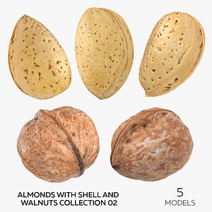 3D Almonds With Shell and Walnuts Collection 02 - 5 models