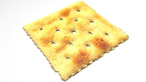 Square Cracker 3D model