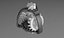 Epicyclic Bevel Gear Reducer