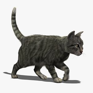 Cat (Mackerel) (FUR) (ANIMATED)