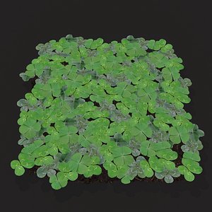 3D model Four Leaf Clover Patch