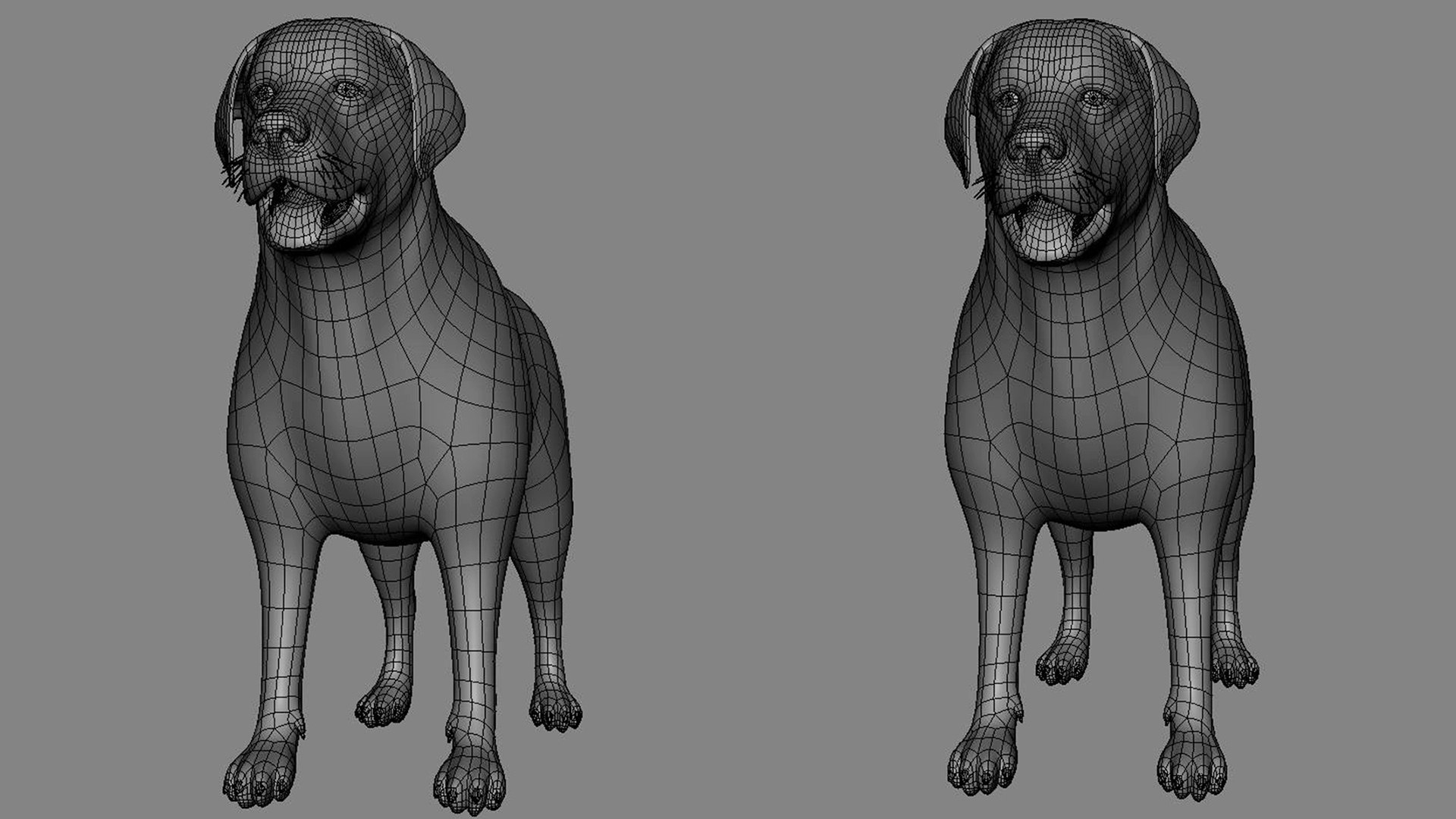3D Labrador Dog Basemesh - TurboSquid 2238413