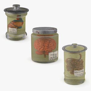 Human Organs in a Old Jar Collection 3D model