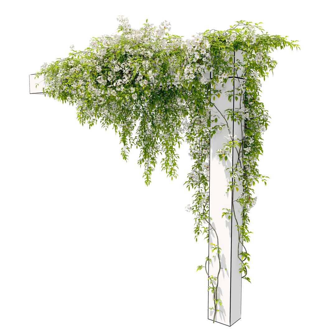 Hanging plant 53 3D model https://p.turbosquid.com/ts-thumb/nB/ICjimY/6k/preview3qft/jpg/1747461189/1920x1080/fit_q87/0dbc3ae51dae298726280736549800dfd6cf91d4/preview3qft.jpg