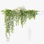 Planta colgante 53