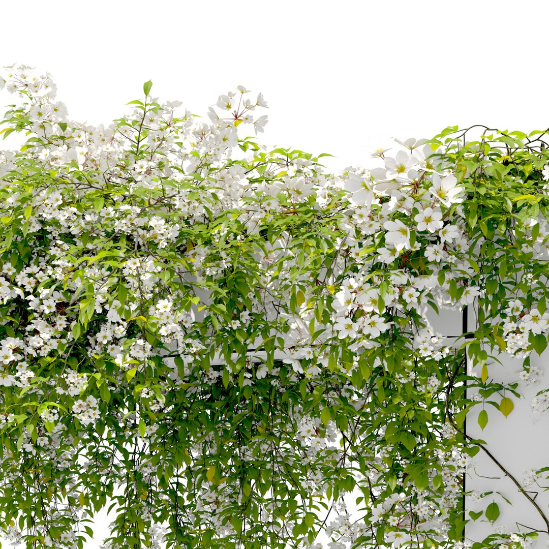 Hanging plant 53 3D model https://p.turbosquid.com/ts-thumb/nB/ICjimY/ge/preview7qft/jpg/1747461185/1920x1080/fit_q87/9efb11e0e8069b9a18f7670ecff30724760eeb9e/preview7qft.jpg