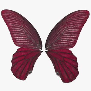 Butterfly Wings 3D model