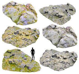 moss rock 3D model
