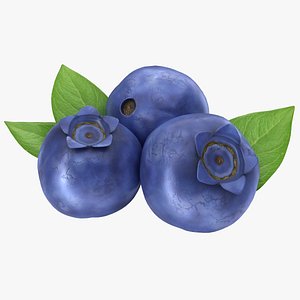 3D realistic blueberry model