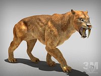sabertooth tiger