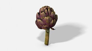 3D model vegetable artichoke - photoscanned