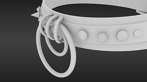O-Ring Collar 1