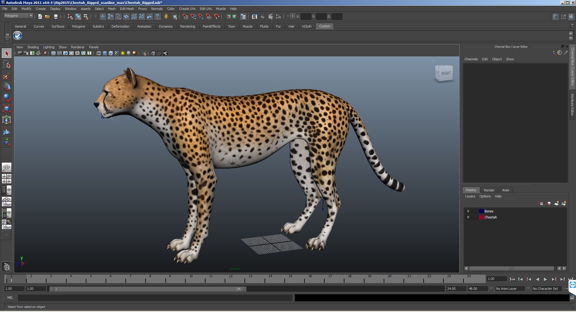 3D african animals 3 rigged https://p.turbosquid.com/ts-thumb/nB/sFwgGa/2vdlXVBC/cheetah_rigged_mb2/jpg/1582872548/1920x1080/fit_q87/1b3f327ce97522836276bc77643d9fdc855c2f89/cheetah_rigged_mb2.jpg