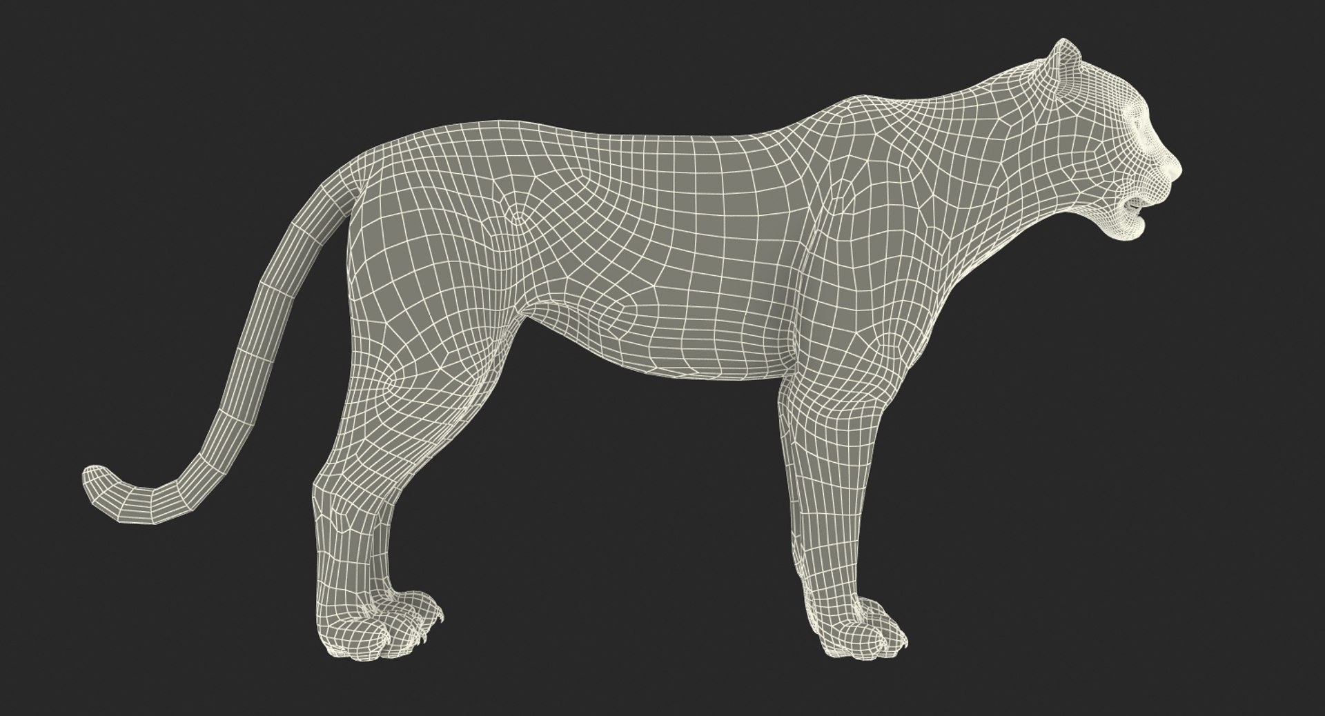 3D african animals 3 rigged https://p.turbosquid.com/ts-thumb/nB/sFwgGa/AttJDQcO/riggedafricananimalscollection3mb3dmodel055/jpg/1561109728/1920x1080/fit_q87/d7418c8930aaa901e9d74bf528933a63e44f48d5/riggedafricananimalscollection3mb3dmodel055.jpg