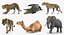 マヤのためのアフリカの動物の装備コレクション3
