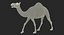 マヤのためのアフリカの動物の装備コレクション3