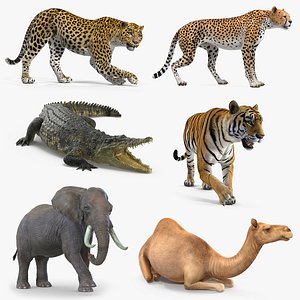 3D african animals 3 rigged