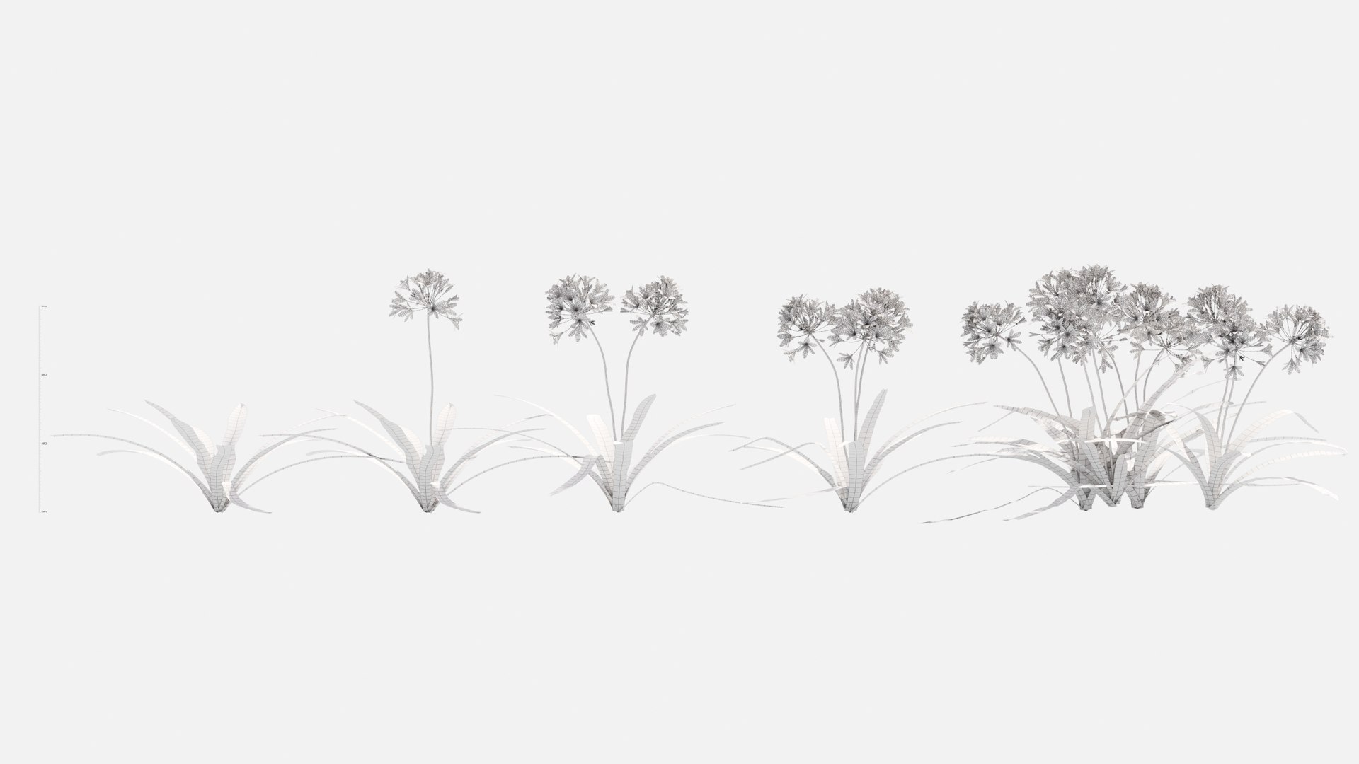 3D Agapanthus Flower https://p.turbosquid.com/ts-thumb/nC/3TyV80/KN/agapanthus_flower7/jpg/1660872959/1920x1080/fit_q87/6d5668abbc5698228e2624ee5b3ee0e83c002ba9/agapanthus_flower7.jpg