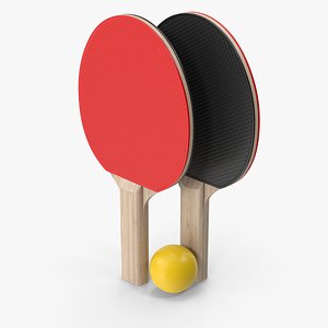 3D model Ping Pong Paddles