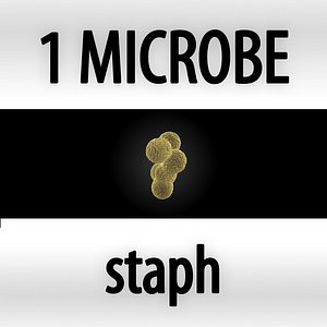 staph - staphylococcus aureus