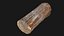 3D Tree trunk 3d scan highpoly model