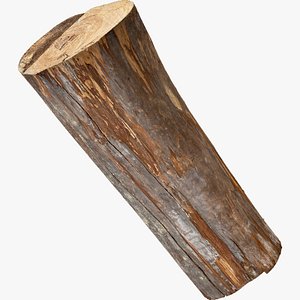 3D Tree trunk 3d scan highpoly model