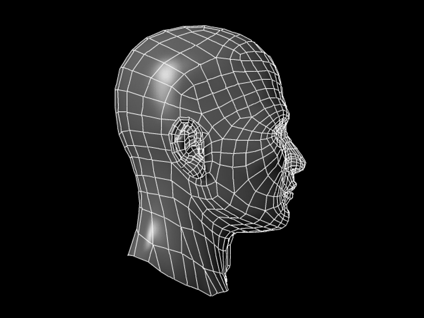 Realistic Human Head Male 3d Obj