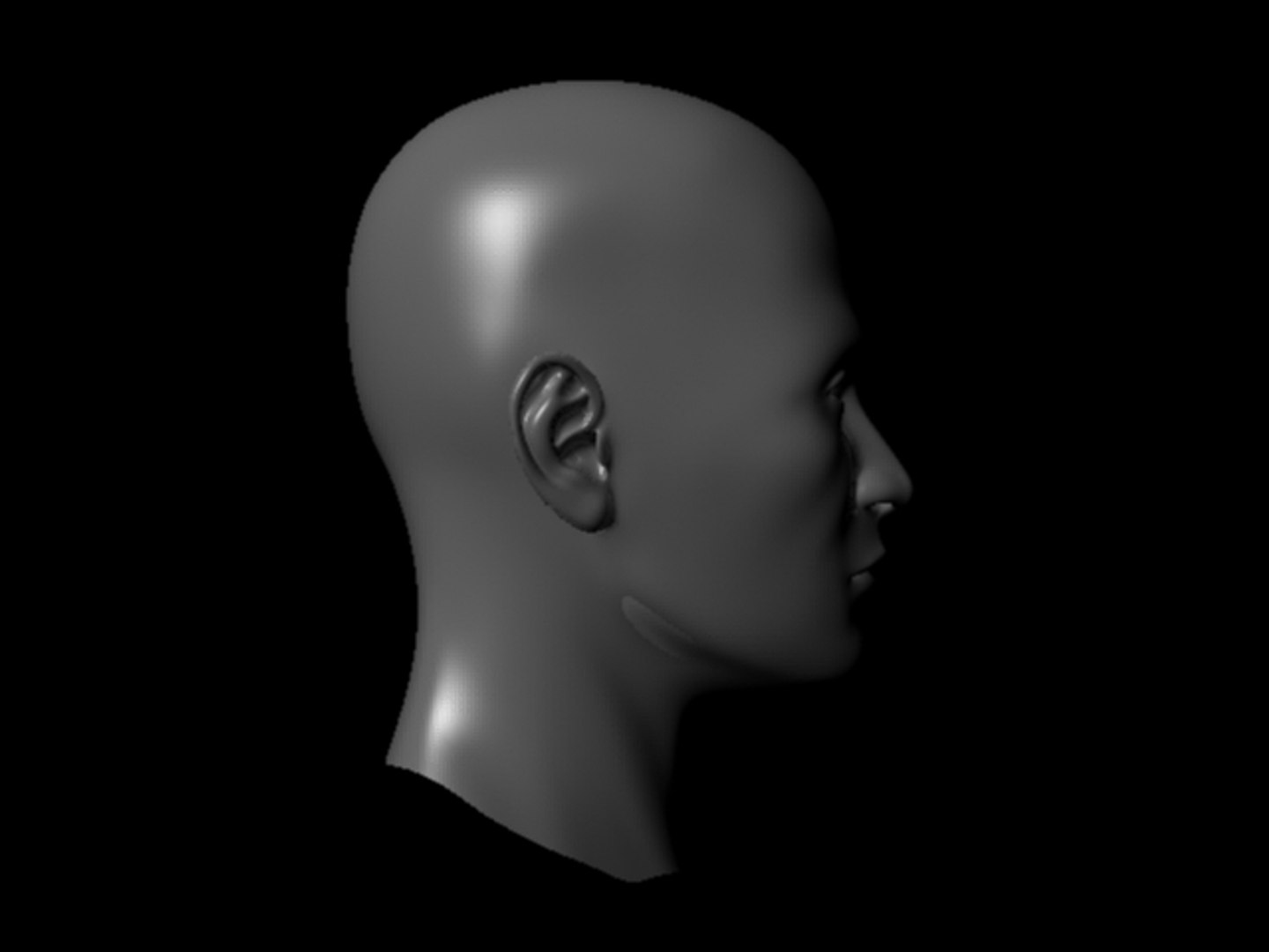Realistic Human Head Male 3d Obj