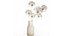 Ramo de flores secas, ramas de Heracleum mantis religiosa 551