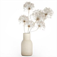 Bouquet dried flowers branches Heracleum hogweed 551