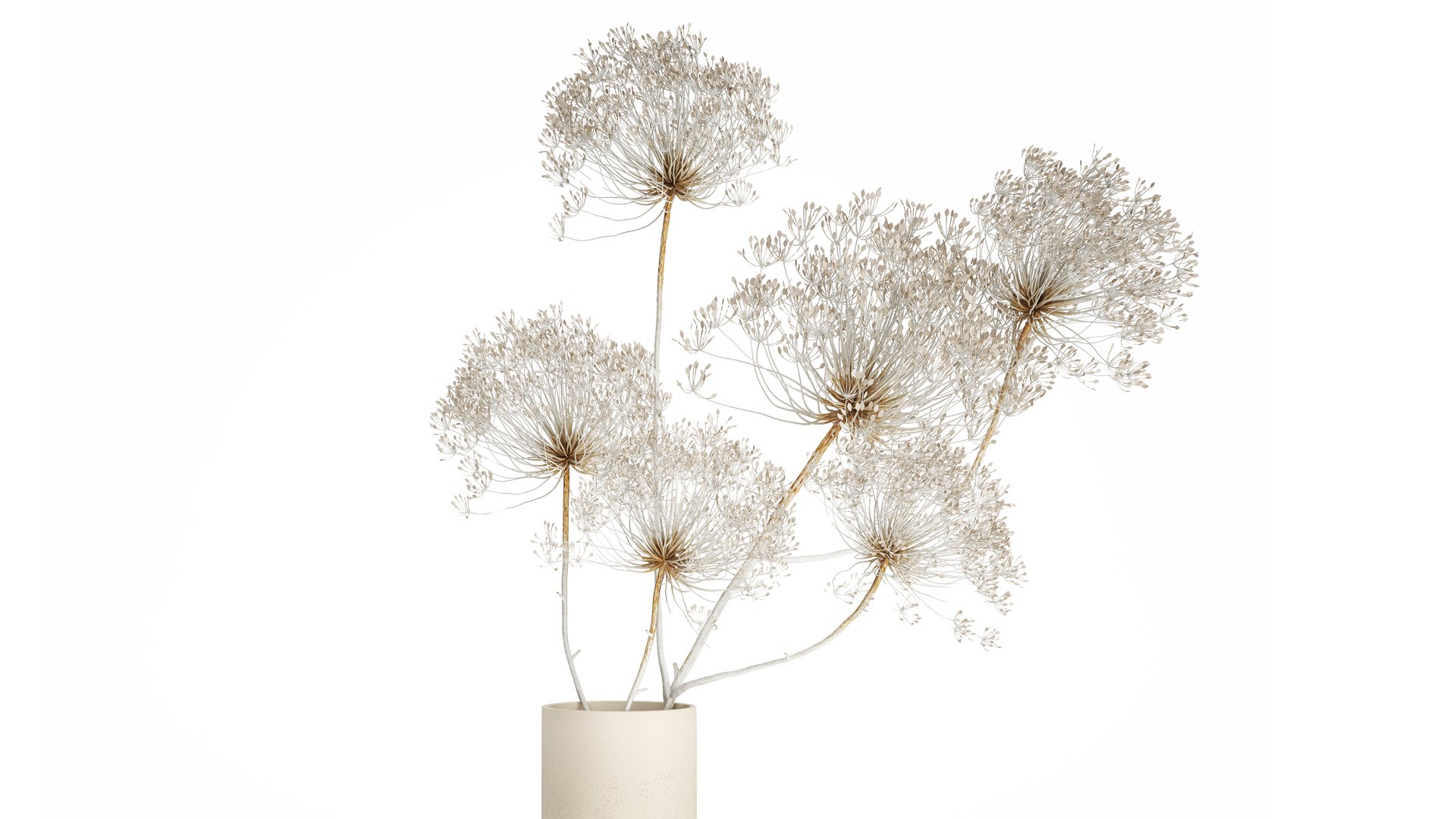 Bouquet dried flowers branches Heracleum hogweed 551 3D model https://p.turbosquid.com/ts-thumb/nC/WJkYLA/xt/1bouquet160402/jpg/1745334744/1920x1080/fit_q87/d1e508ee1f91084aa02200454a01774f79c8a964/1bouquet160402.jpg