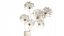 Ramo de flores secas, ramas de Heracleum mantis religiosa 551