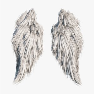 3D Wings