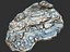 Jungle Rock Ground 16K
