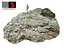 Jungle Rock Ground 16K