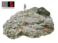 Jungle Rock Ground 16K