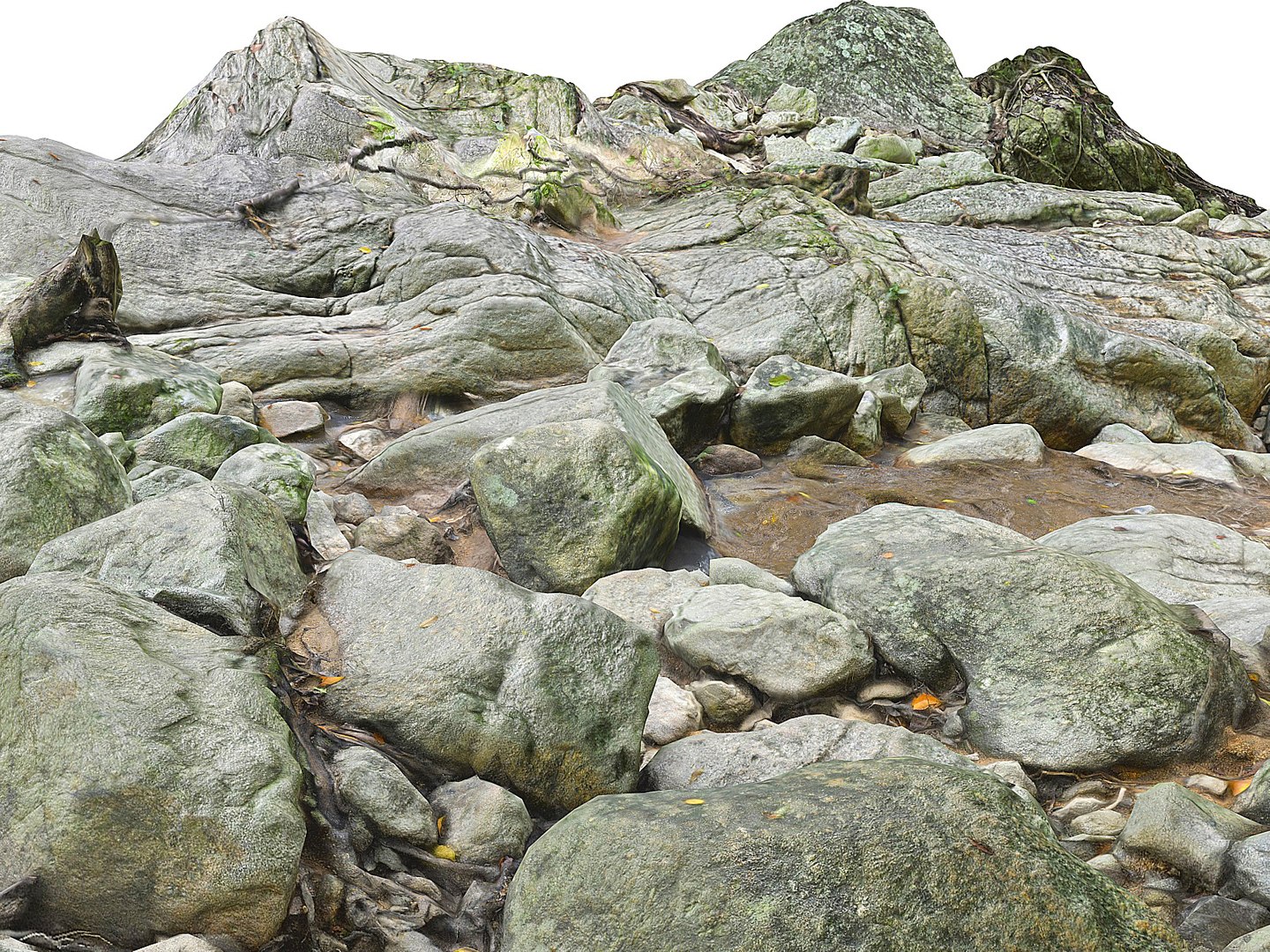 3D jungle rock ground 16k model https://p.turbosquid.com/ts-thumb/nC/WyII9V/noll06vE/09090/jpg/1523907195/1920x1080/fit_q87/0cd04b87ee2a820c6dc8f5f8a51169db8201f0eb/09090.jpg