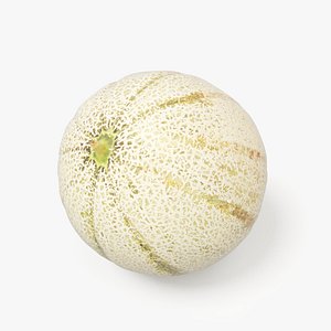 melon food fruit 3D model