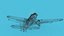 Curtiss P-40B Tomahawk V06 China Flying Tigers