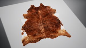 North style carpet October