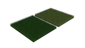 Grasses Set 3D model