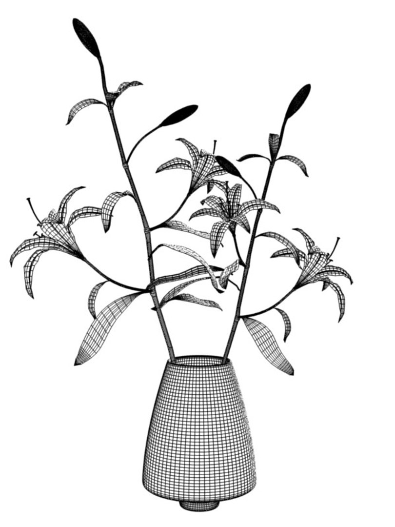 ornamental lily vase 3d model https://p.turbosquid.com/ts-thumb/nD/aEzWqG/JApXvI8q/liliywire/jpg/1227273103/1920x1080/fit_q87/9558799d24302d1adde8850577650ed504fc9244/liliywire.jpg