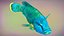 Fish Humphead Wrasse or Napoleonfish Low-poly