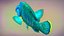 Fish Humphead Wrasse or Napoleonfish Low-poly