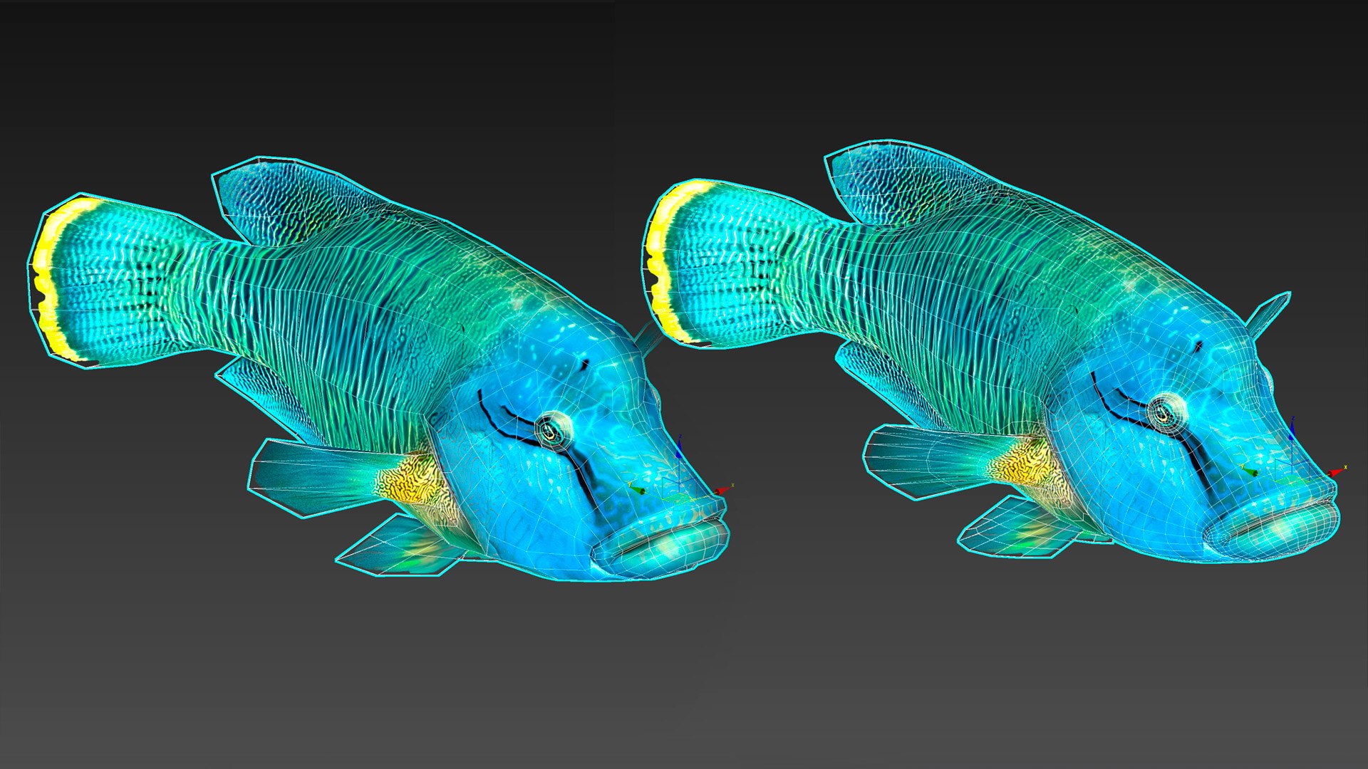 3D Fish Humphead Wrasse Low-poly 3D model https://p.turbosquid.com/ts-thumb/nD/bsteYJ/fq/view_8/jpg/1653941464/1920x1080/fit_q87/44462736cb7d774955380ea41ef569c3c8a8e1b8/view_8.jpg